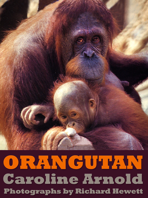 Title details for Orangutan by Caroline Arnold - Available